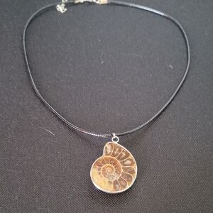 Ammonite Pendant Necklace in Brown and Silver
